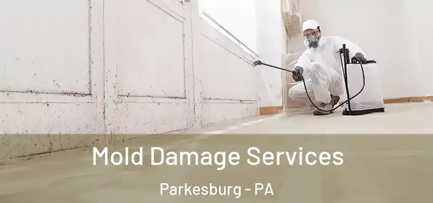 Mold Damage Services Parkesburg - PA