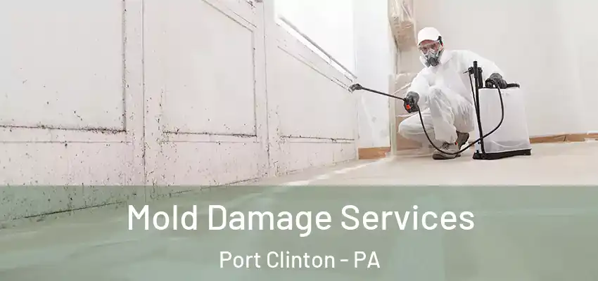 Mold Damage Services Port Clinton - PA