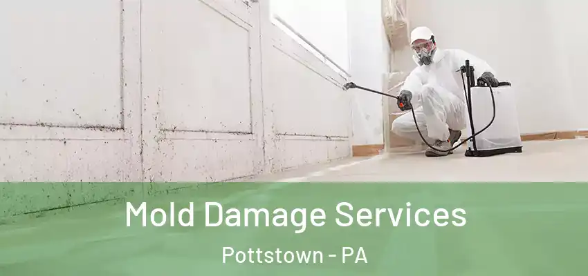 Mold Damage Services Pottstown - PA
