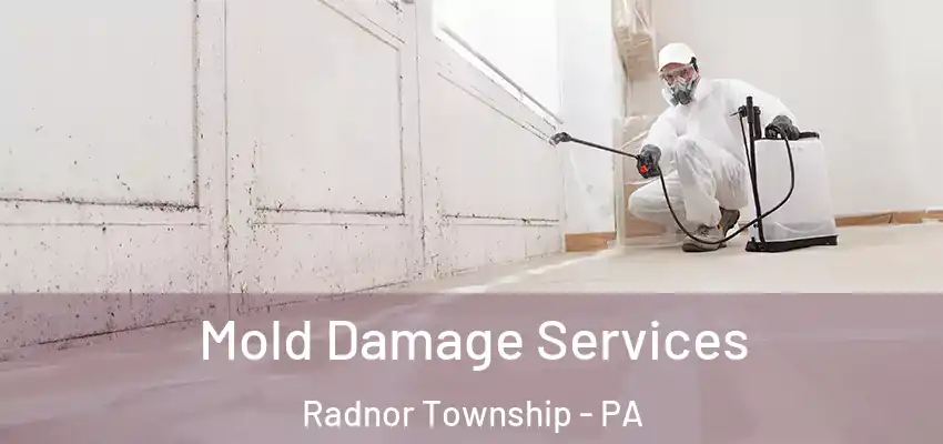 Mold Damage Services Radnor Township - PA