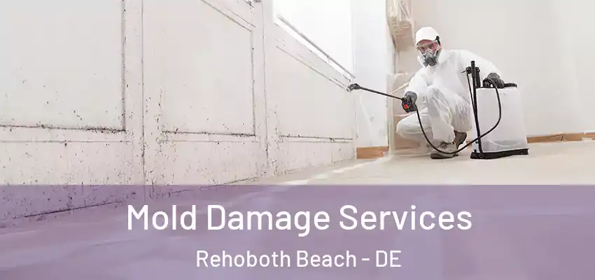 Mold Damage Services Rehoboth Beach - DE