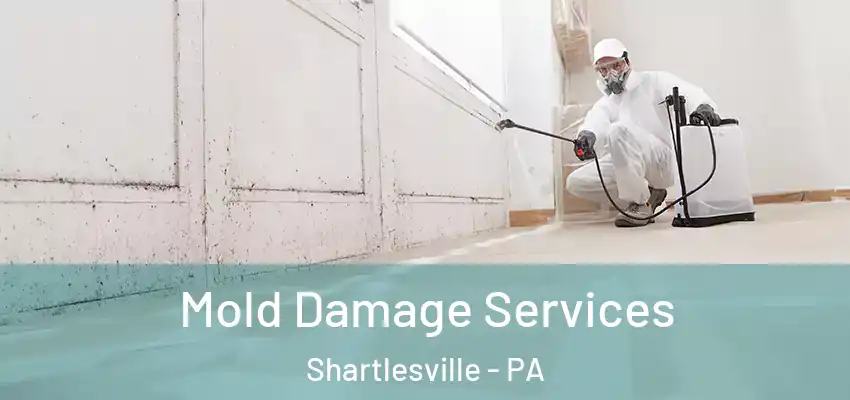  Mold Damage Services Shartlesville - PA