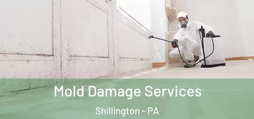 Mold Damage Services Shillington - PA