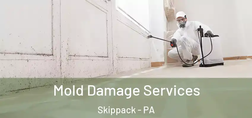  Mold Damage Services Skippack - PA