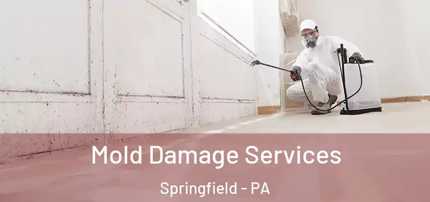 Mold Damage Services Springfield - PA