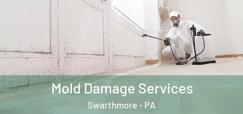 Mold Damage Services Swarthmore - PA