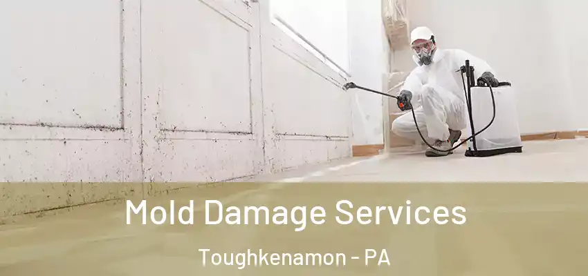  Mold Damage Services Toughkenamon - PA