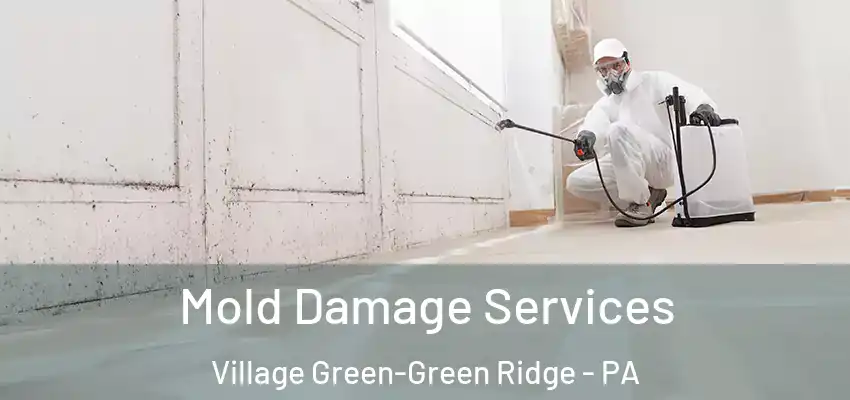 Mold Damage Services Village Green-Green Ridge - PA