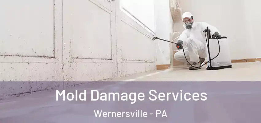 Mold Damage Services Wernersville - PA