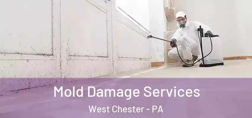 Mold Damage Services West Chester - PA