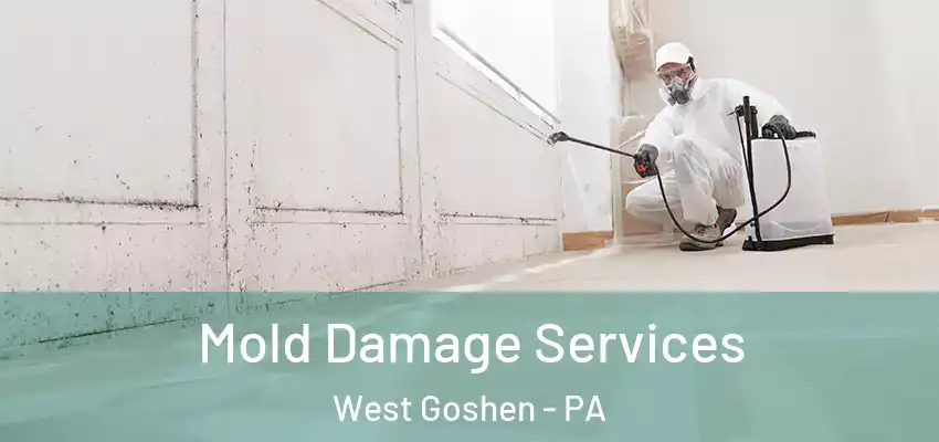 Mold Damage Services West Goshen - PA