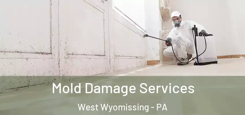  Mold Damage Services West Wyomissing - PA