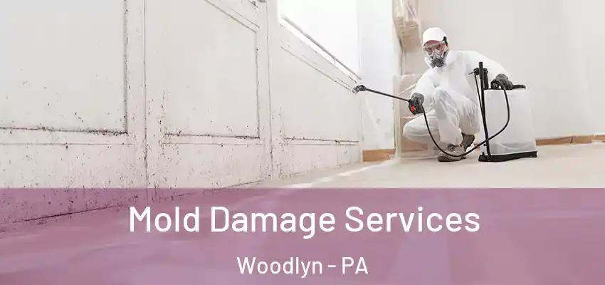  Mold Damage Services Woodlyn - PA