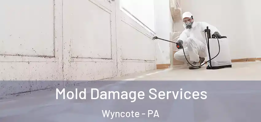 Mold Damage Services Wyncote - PA