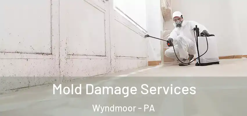 Mold Damage Services Wyndmoor - PA