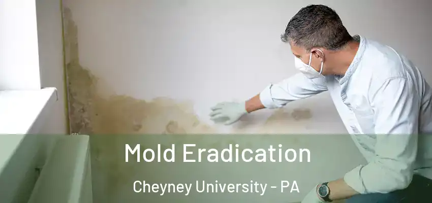  Mold Eradication Cheyney University - PA