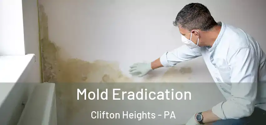  Mold Eradication Clifton Heights - PA