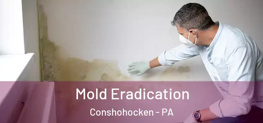  Mold Eradication Conshohocken - PA