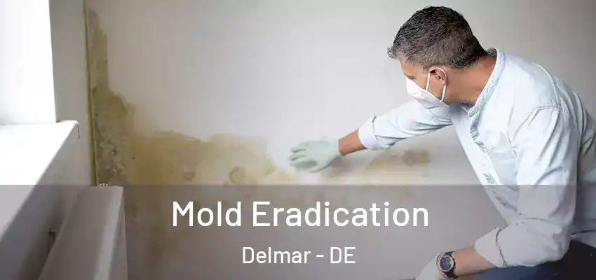 Mold Eradication Delmar - DE