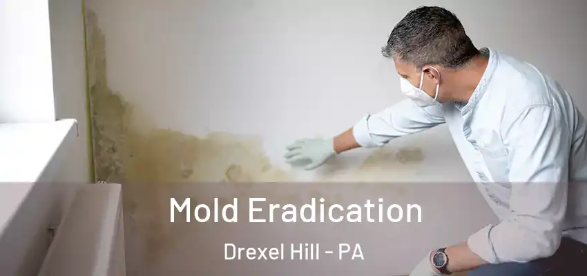  Mold Eradication Drexel Hill - PA