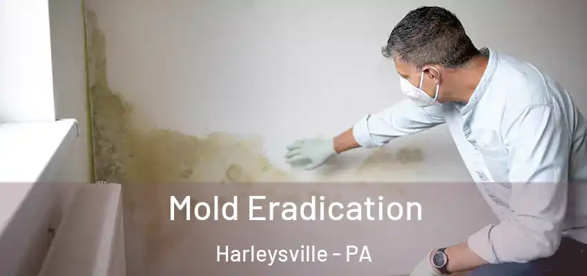  Mold Eradication Harleysville - PA