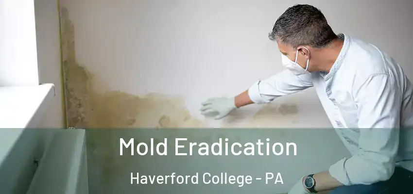  Mold Eradication Haverford College - PA