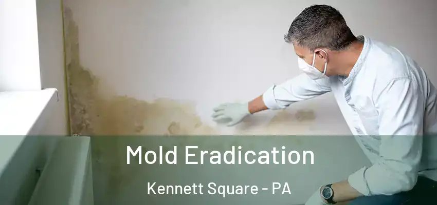 Mold Eradication Kennett Square - PA