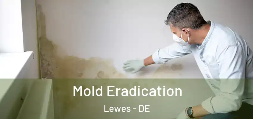  Mold Eradication Lewes - DE