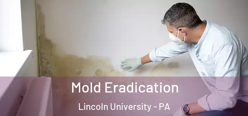  Mold Eradication Lincoln University - PA