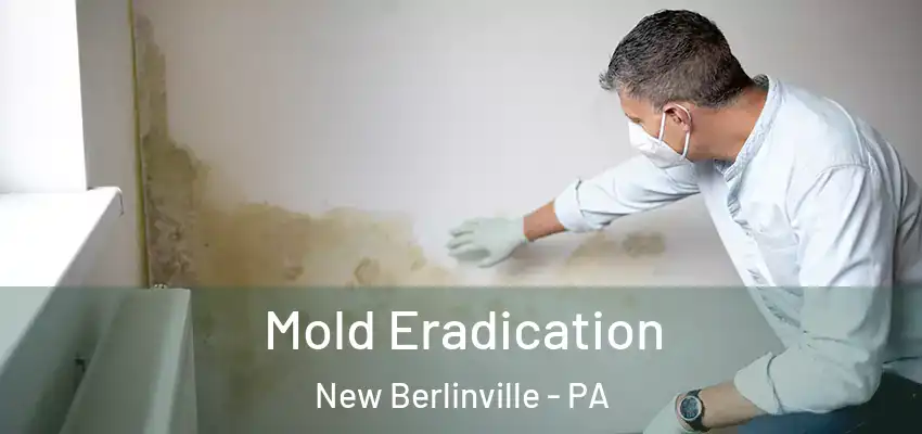 Mold Eradication New Berlinville - PA
