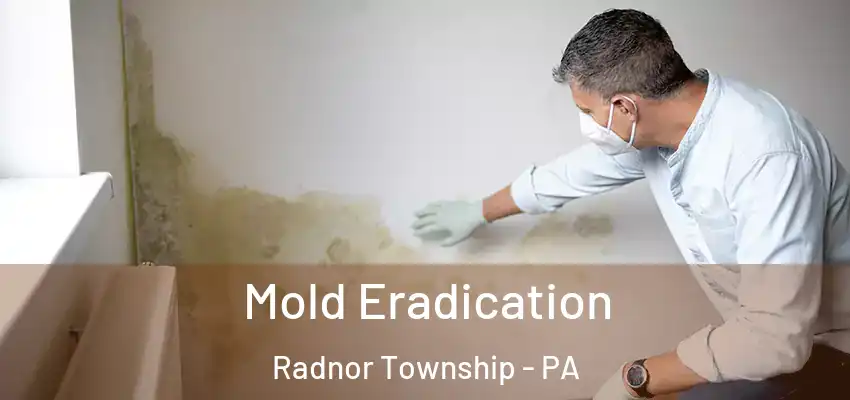  Mold Eradication Radnor Township - PA
