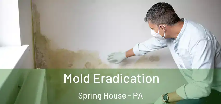  Mold Eradication Spring House - PA