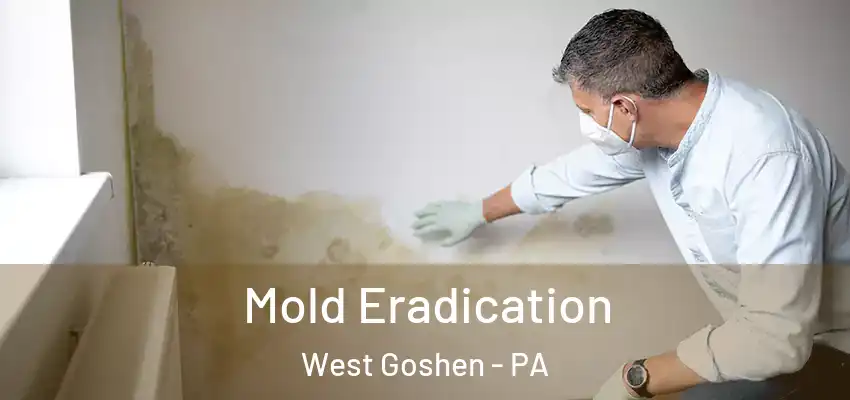 Mold Eradication West Goshen - PA
