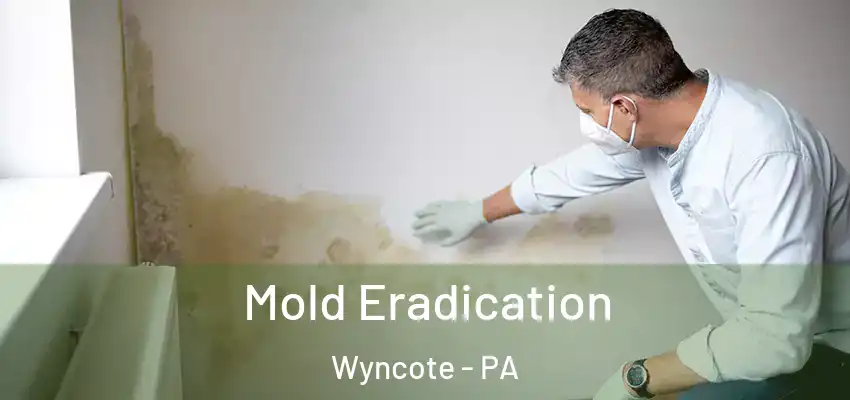 Mold Eradication Wyncote - PA