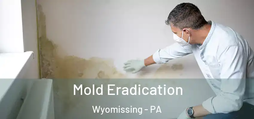  Mold Eradication Wyomissing - PA