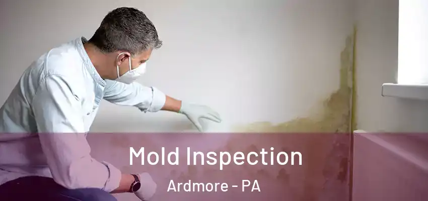  Mold Inspection Ardmore - PA
