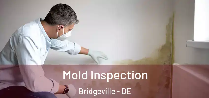 Mold Inspection Bridgeville - DE