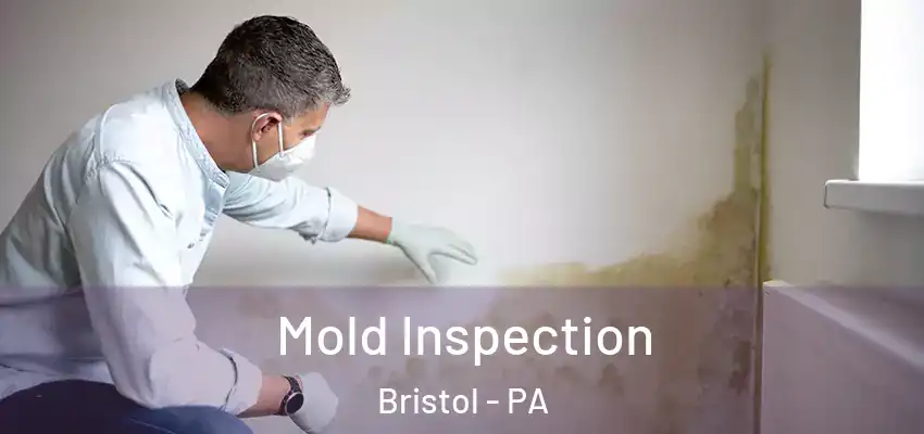  Mold Inspection Bristol - PA