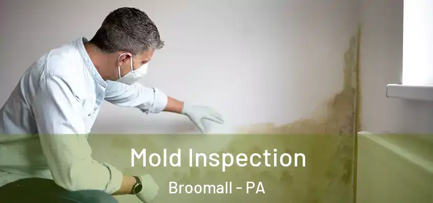  Mold Inspection Broomall - PA