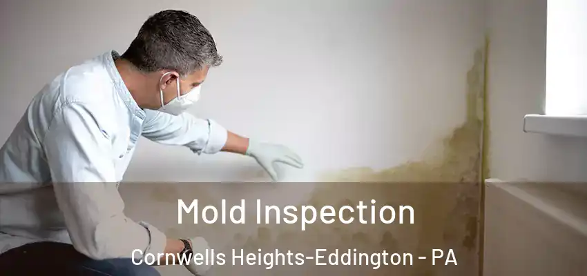 Mold Inspection Cornwells Heights-Eddington - PA
