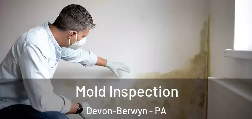 Mold Inspection Devon-Berwyn - PA