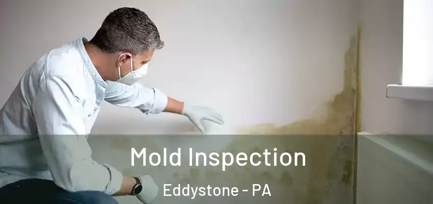Mold Inspection Eddystone - PA