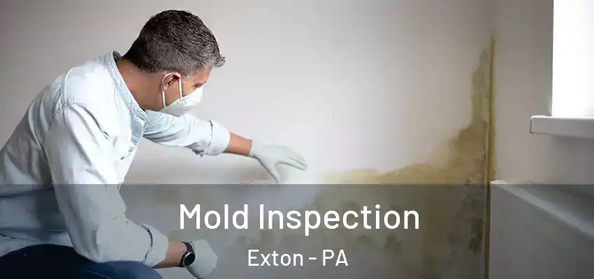 Mold Inspection Exton - PA