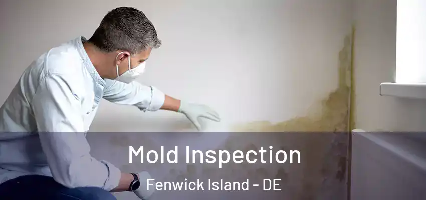  Mold Inspection Fenwick Island - DE