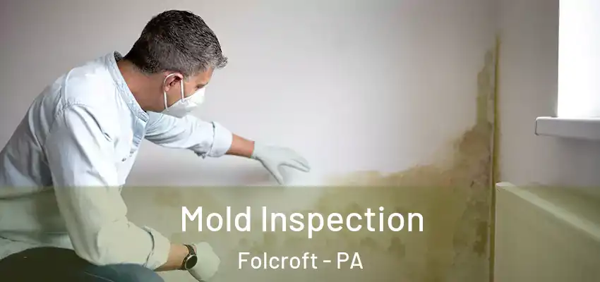 Mold Inspection Folcroft - PA