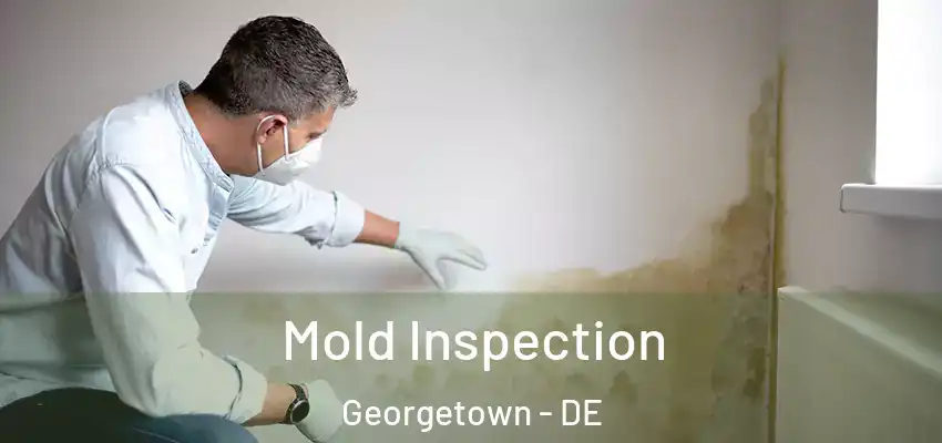 Mold Inspection Georgetown - DE