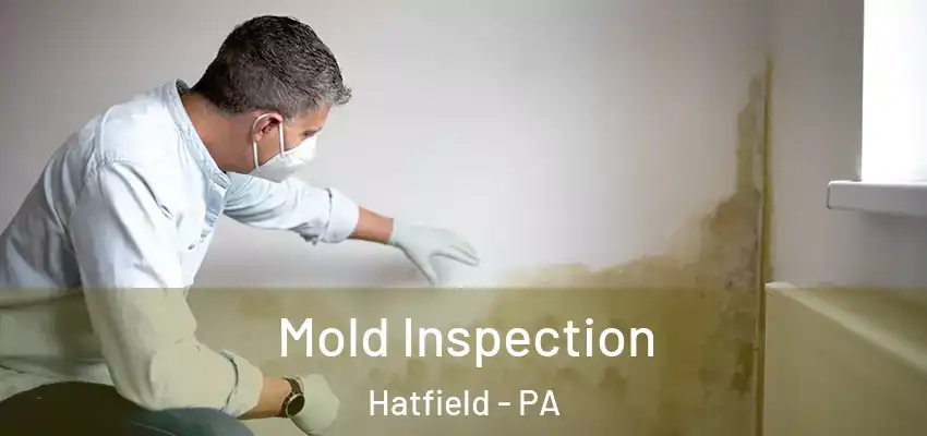  Mold Inspection Hatfield - PA