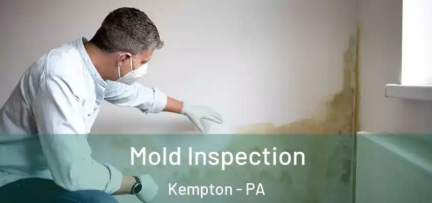  Mold Inspection Kempton - PA