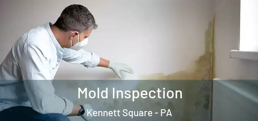  Mold Inspection Kennett Square - PA