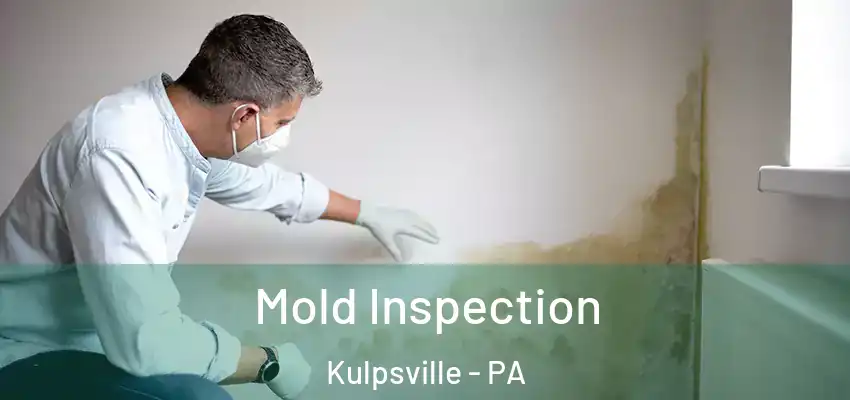 Mold Inspection Kulpsville - PA